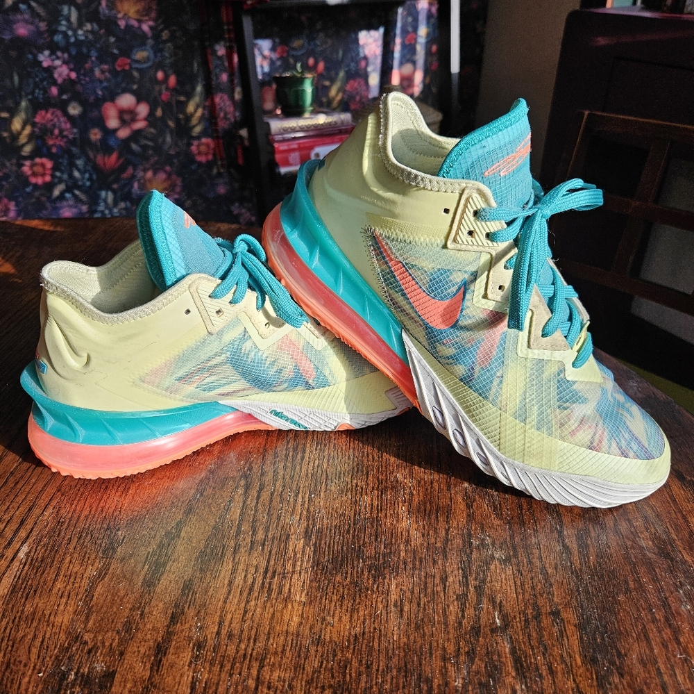 Nike LeBron Sz 10